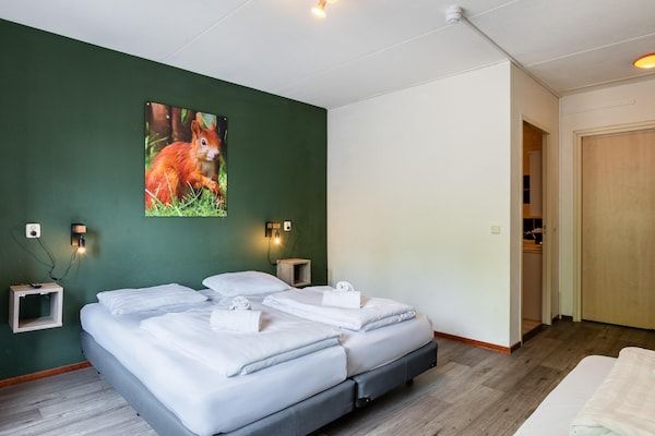Slaapkamer - Grote huisdiervriendelijke lodge in Gasselternijveen (5)