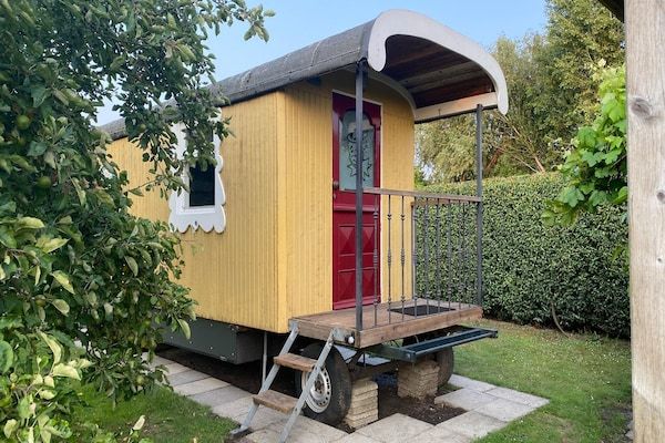 Terras - Pipowagen in Weideblick met Boerderijdieren in Bergen op Zoom (1)