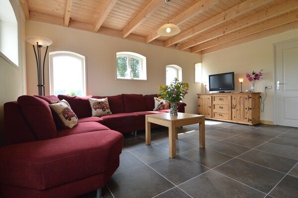 Woonkamer - Vakantiehuis in Holten bij IJsselmeer in Holten (1)