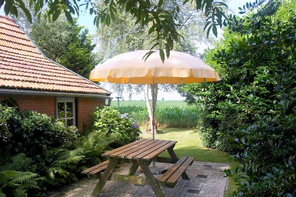 Terras - Vakantiehuis met fietsgebied in Den ham (4)