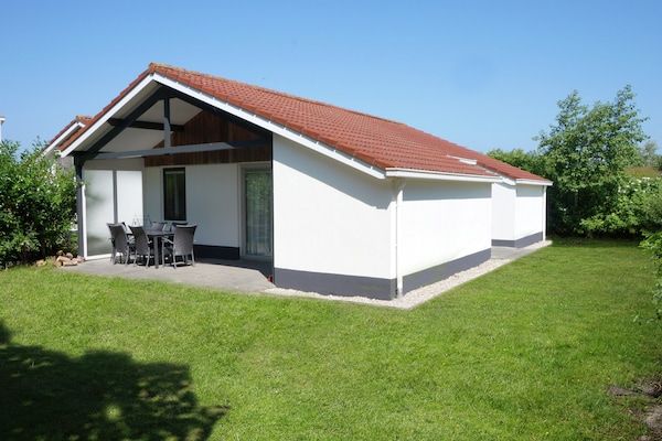 Buitenkant - Huisdiervriendelijk uitje in Hollum (4)