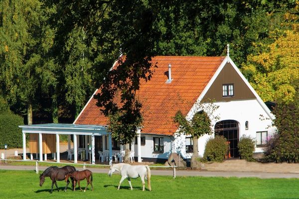 Buitenkant - Chalet in Overijssel met ruim terras in Ootmarsum (1)