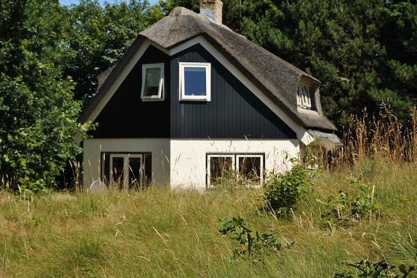 Buitenkant - Luxe villa aan de duinen in De Cocksdorp-Texel (1)