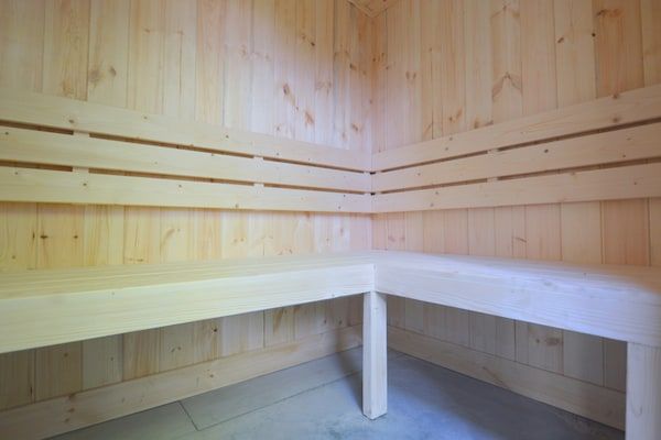 Wellness - Gezellig vakantiehuis in Volkel met sauna in Volkel (4)