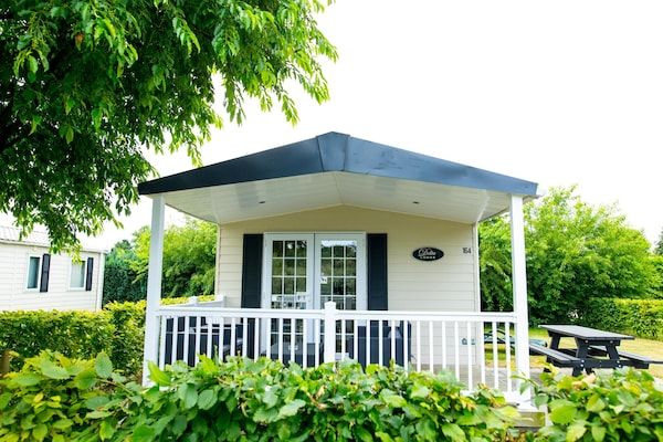 Buitenkant - Chalet bij Loonse en Drunense Duinen in Udenhout (1)
