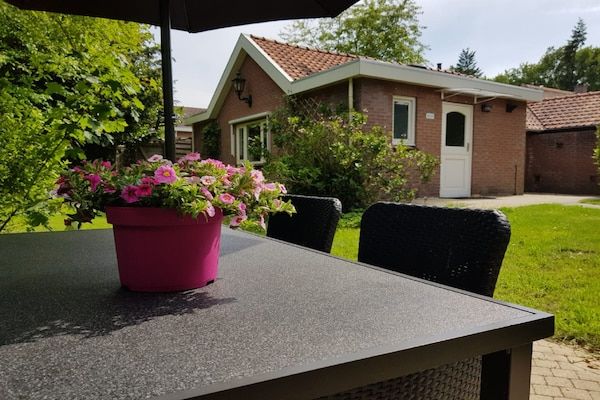 Buitenkant - Huisje in Veluwe bij Bospark in Garderen (2)