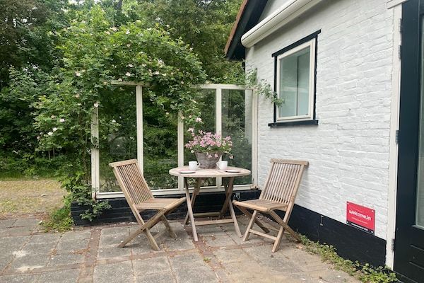 Terras - Vakantiehuis in Dishoek bij Zuidstrand in Koudekerke-Dishoek (3)