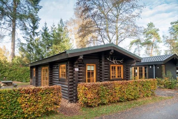 Buitenkant - Houten chalet bij Nationaal Park De Veluwe in Otterlo (1)
