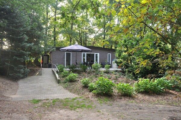 Buitenkant - Gezellig huisje in Leenderbos met bubbelbad in Leende (1)