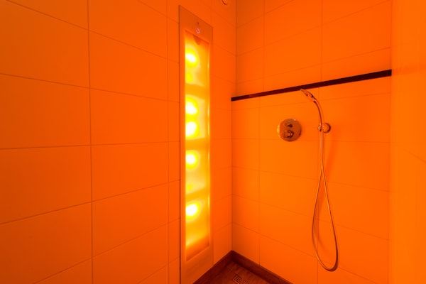 Wellness - Gezellig groepsverblijf met open haard in Hellendoorn (2)