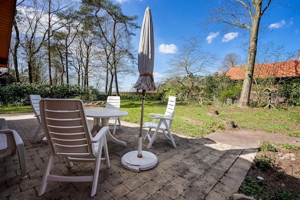 Terras - Bungalow in Holten bij Boswandelingen in Holten (5)