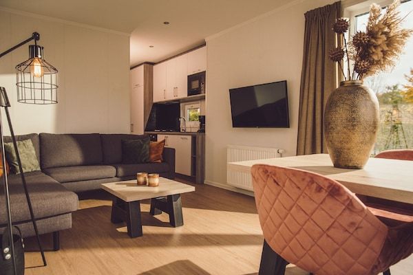 Woonkamer - Vakantiehuis in Holten bij Sallandse Park in Rijssen (2)