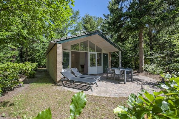 Buitenkant - Design Chalet op de Veluwe in Wissel/Epe (1)