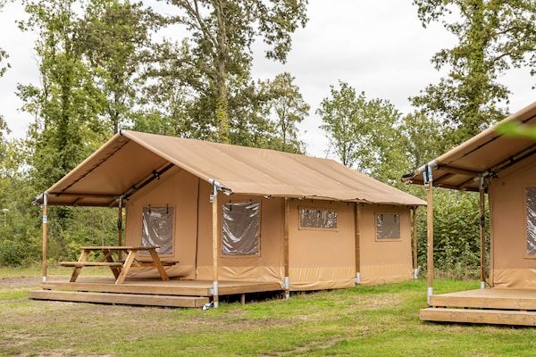 Buitenkant - Bosglamping nabij Emmen in Borger (5)