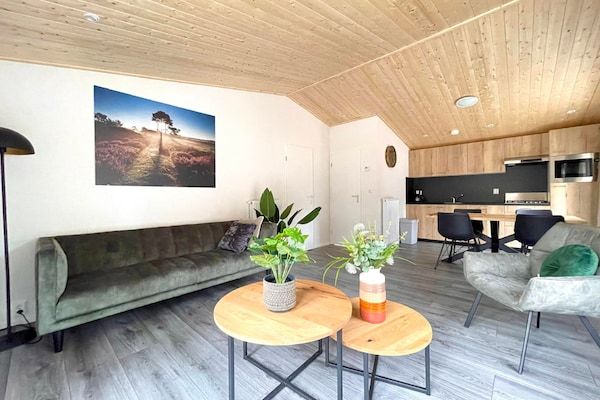 Woonkamer - Chalet met tuin en uitzicht in Hoenderloo (2)