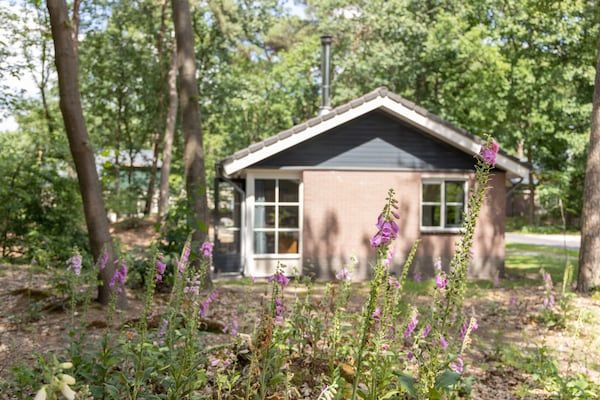Buitenkant - Bungalow in Park De Peel - Autovrij Genieten in Vlierden (4)