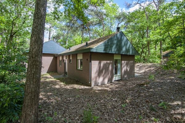 Buitenkant - Bungalow in De Peel bij rustig bos in Vlierden (4)