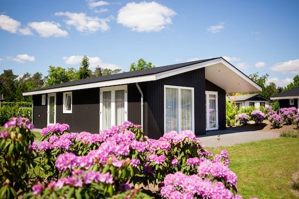 Buitenkant - Chalet in Nederland bij Vijver in Veldhoven (1)