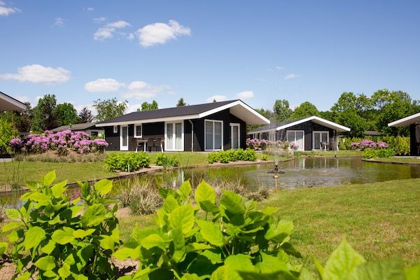 Buitenkant - Chalet in Nederland bij Vijver in Veldhoven (5)