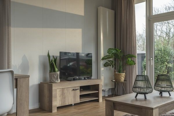 Woonkamer - Vakantiehuis in Overijssel met Tuinterras in Zuna (2)