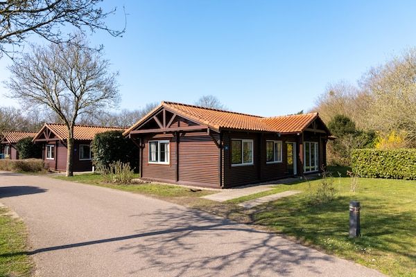Buitenkant - Bungalow in Veluwe bij Harderwijk in Putten (1)