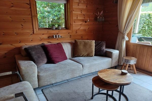 Woonkamer - Bungalow met omheinde tuin op de Veluwe in Hulshorst (5)