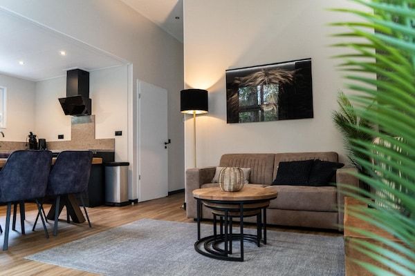 Woonkamer - Elegant landchalet in Gelders in Hoenderloo (2)