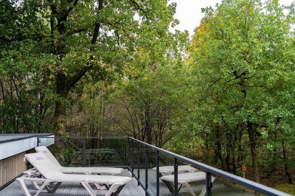 Terras - Elegant landchalet in Gelders in Hoenderloo (5)