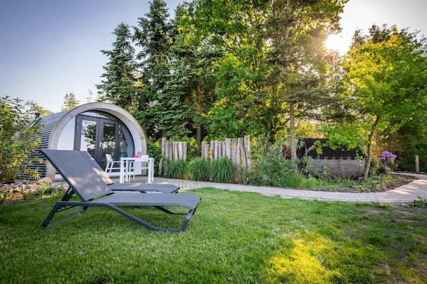 Tuin - Rustige wellnesslodge in Drenthe in Drenthe (5)