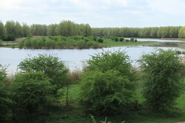 AreaSummer20KM - Forest Lodge met hottub in Zeewolde (5)