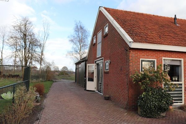 Buitenkant - Vakantiehuis in Donkerbroek bij bosroutes in Donkerbroek (1)