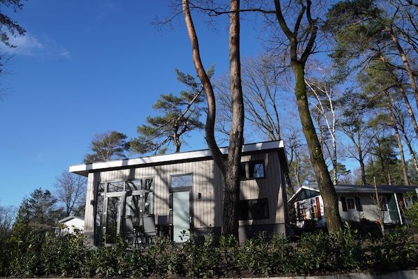 Buitenkant - Tiny House met uitzicht op het bos in Hoenderloo (4)