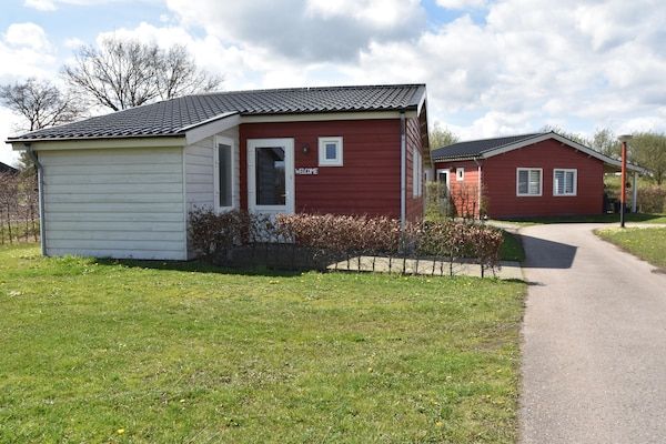 Buitenkant - Vakantiehuis met overdekt terras en zwembad in Someren-Heide (1)