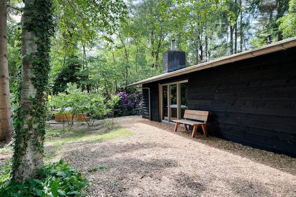 Buitenkant - Vakantiehuis in Rheezerveen met sauna in Rheezerveen (4)