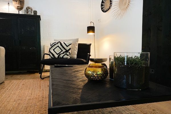 Woonkamer - Vakantiehuis in Rheezerveen met Wellness in Rheezerveen (5)