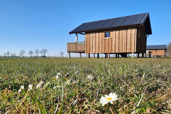 Buitenkant - Lodge in Drenthe met uitzicht veranda in Ruinerwold (1)