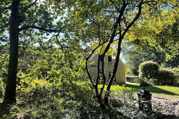 Tuin - Vakantiehuis aan nationaal park Dennen in Den Burg (1)