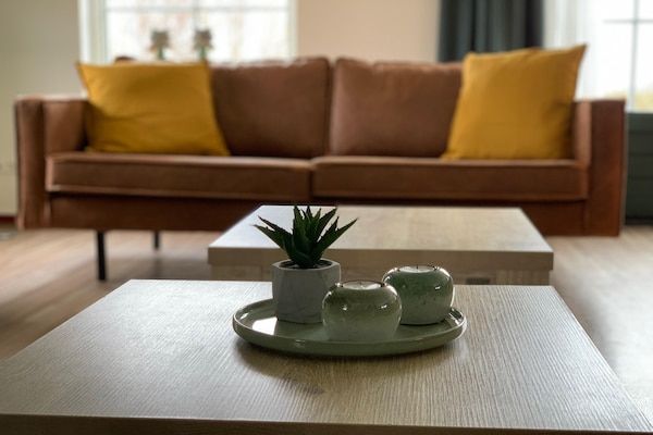 Woonkamer - Vrijstaande bungalow Wellness 16 in Vlagtwedde (1)