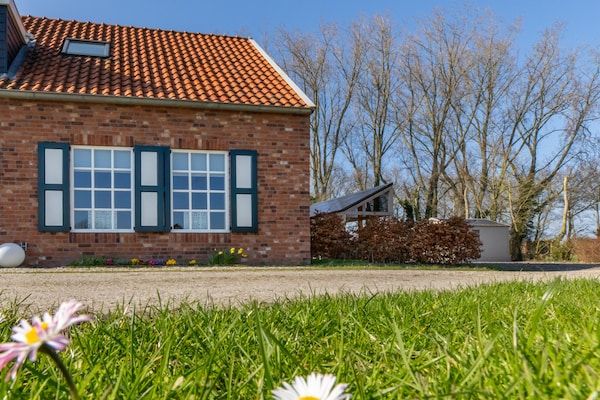 Buitenkant - Vakantiehuis in Koudekerke bij Strand in Koudekerke (1)