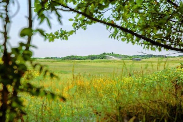 AreaSummer1KM - Fijn huis aan de golfbaan met sauna in Hollum (2)