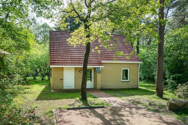 Buitenkant - Huis in Brabant met sauna in Diessen-Baarschot (2)