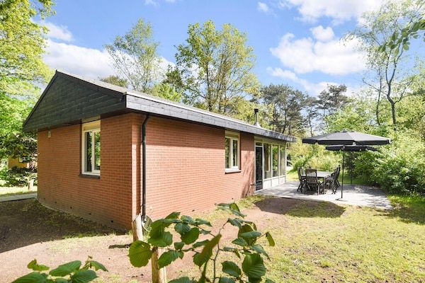 Buitenkant - Groepsbungalows bij Veluwe Bos in Putten (1)