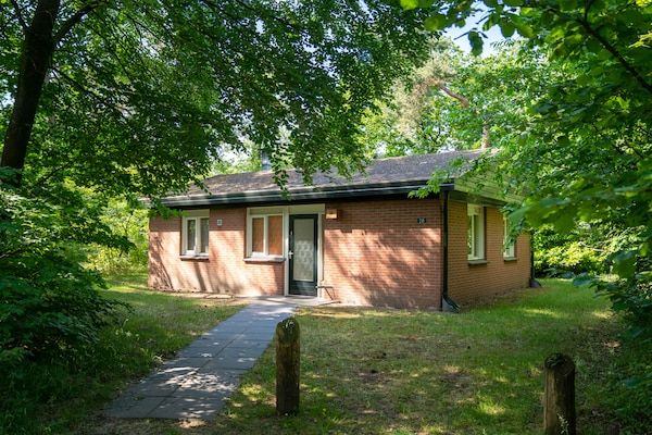 Buitenkant - Huisdiervriendelijke bosontsnapping in Putten (1)