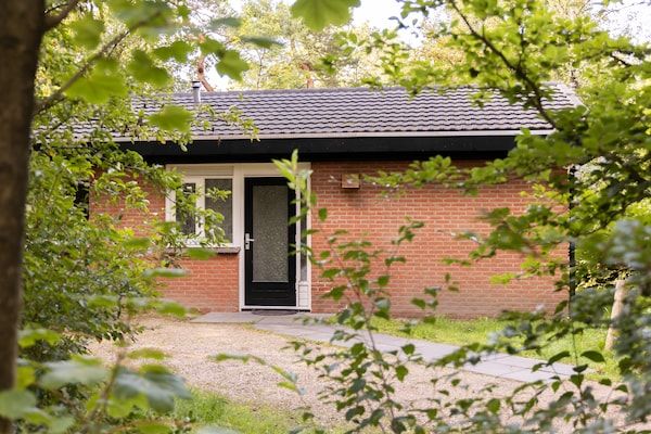 Buitenkant - Bosbungalow in Putten in Putten (1)