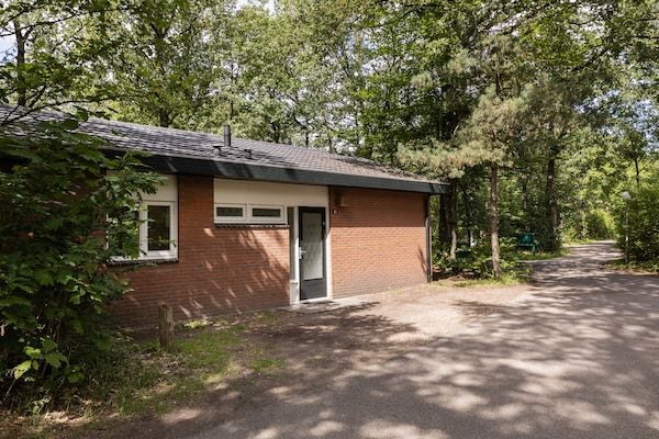 Buitenkant - Bungalow in Putten bij Veluwe Natuurpark in Putten (2)
