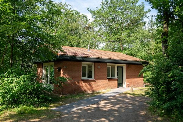 Buitenkant - Bungalow in Putten bij Veluwebossen in Putten (1)