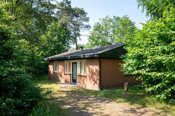 Buitenkant - Bosrijk toevluchtsoord in Putten in Putten (1)