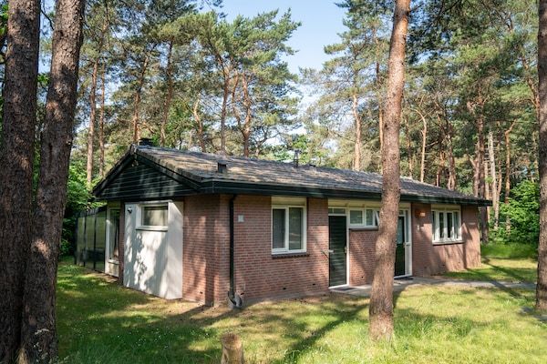 Buitenkant - Bungalow in Putten bij Veluwe Bossen in Putten (1)