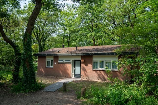 Buitenkant - Bungalow in Putten, 8 gasten in Putten (1)