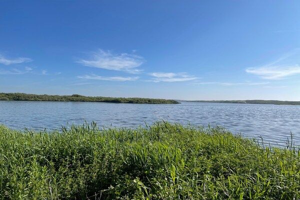 Omgeving - Tentlodge met eigen keuken en badkamer in Callantsoog (5)